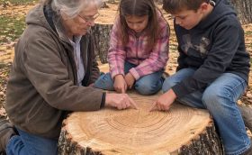 Часть 2: Корни обещания